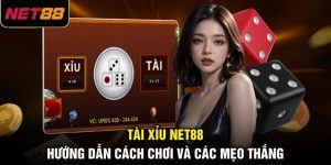 Tài Xỉu NET88 - Hướng Dẫn Cách Chơi Và Các Mẹo Thắng