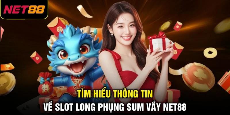 Tìm hiểu thông tin về slot Long Phụng Sum Vầy NET88